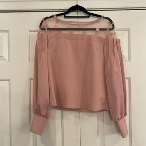 Free Generation size medium pale rose’ blouse.